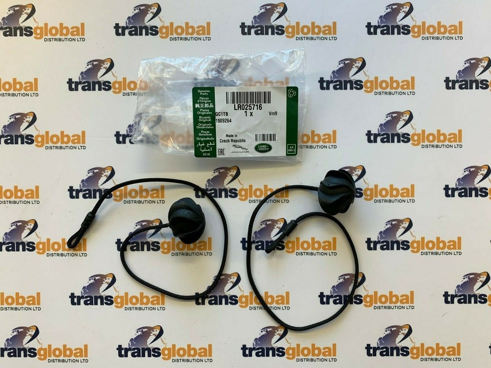Range Rover Evoque Load Compartment Parcel Shelf String x2 GENUINE LR LR025716