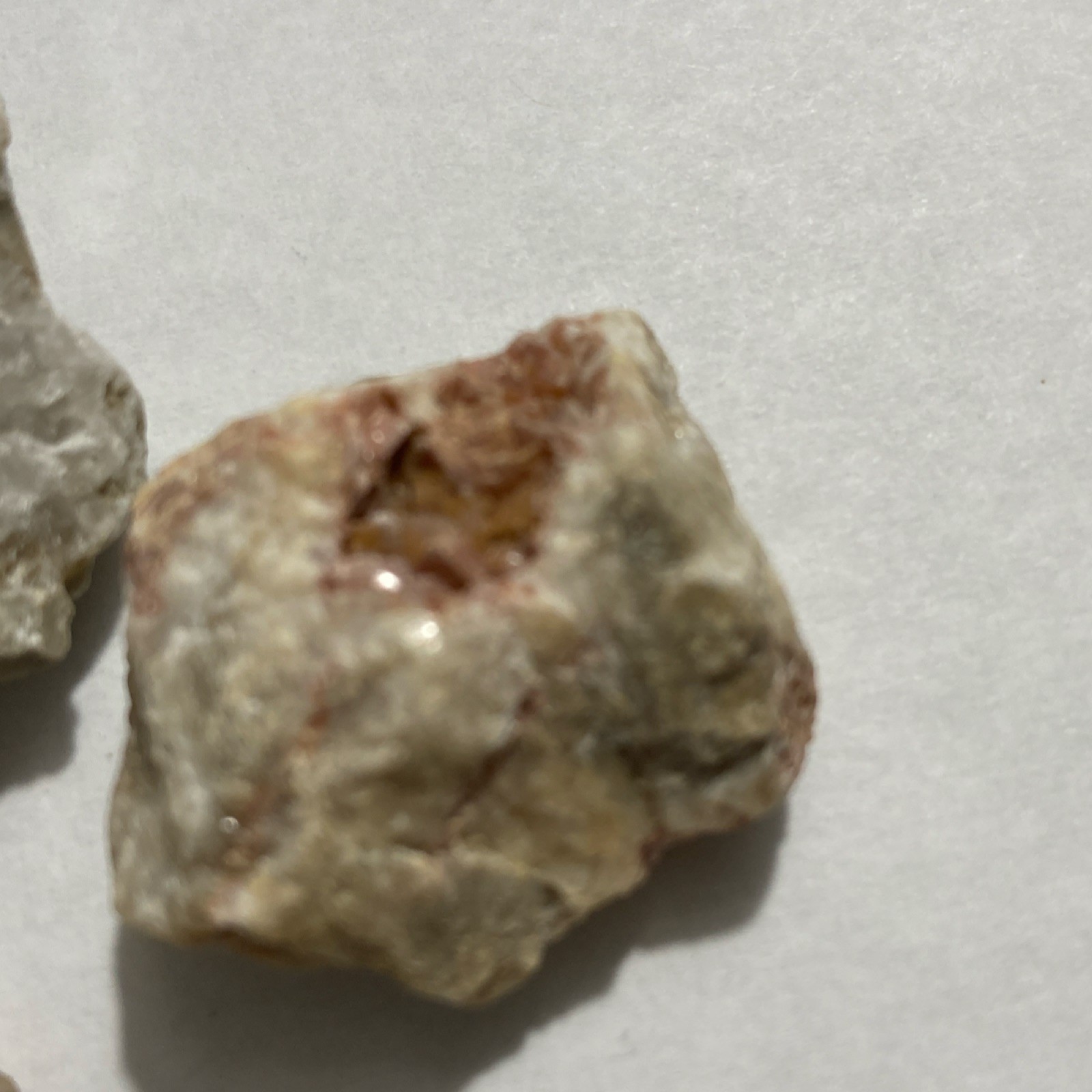 Assorted Rocks Minerals Lot with Garden of the Gods Colorado Mug or Shot Glasses