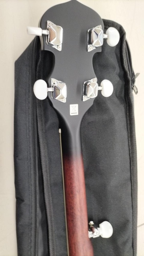 Washburn BB-15R 4-Strings Banjo