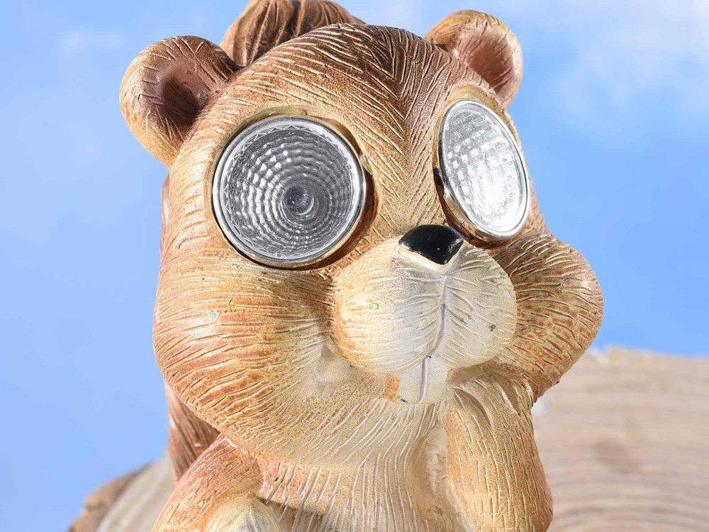 outdoor sunlight animals H 13.5 cm