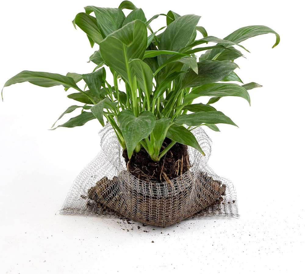 5 Pcs 5 Gallon Root Guard Gopher Proof Wire Basket Mole and Vole Mesh Wire Baske