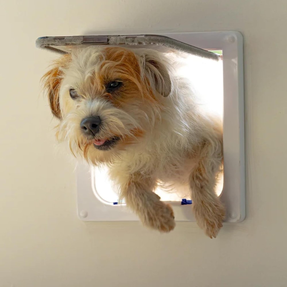 Pet Flap for Large Cats & Small Dogs - Secure Access