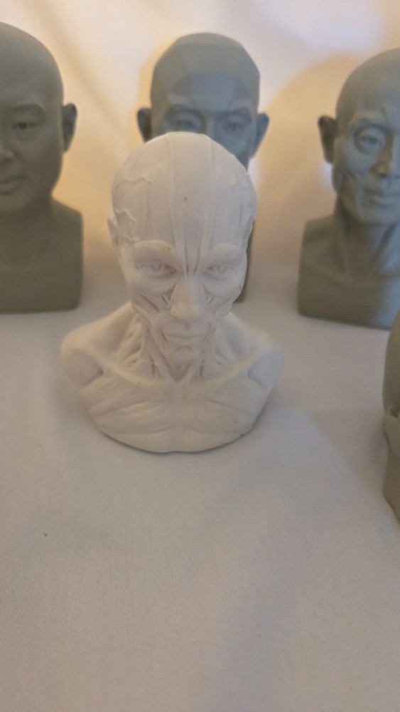Mini Drawing Aid Model Set -- Hands, Head, and Skull
