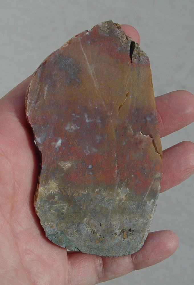 Macaw Agate from Mexico Lapidary Slab T826