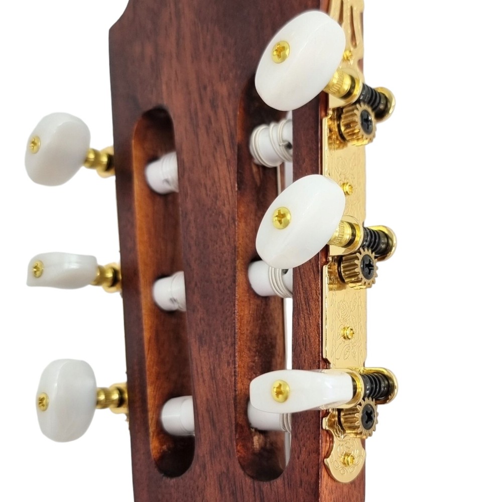 Haze Matte C551BCEQSM Solid Top Thin Body Arched Back Classical Guitar