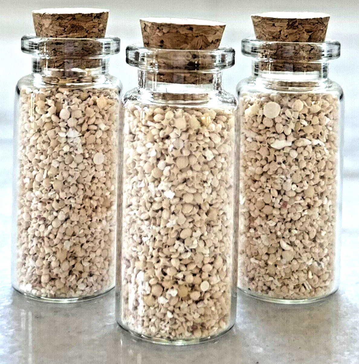 Star Sand Okinawa Ishigaki Island Star Sand 10ml Glass Bottle JAPAN *US Seller