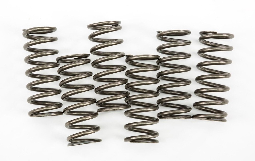 EBC CSK221 Clutch Springs