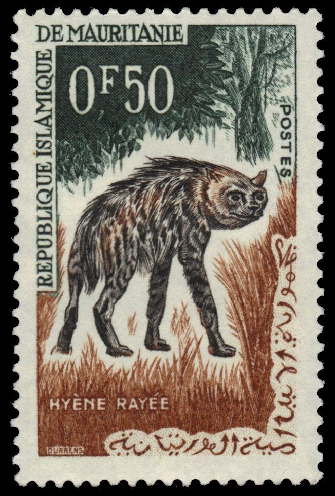 MAURITANIA 134 - Striped Hyaena "Hyaena hyaena" (pb24966)