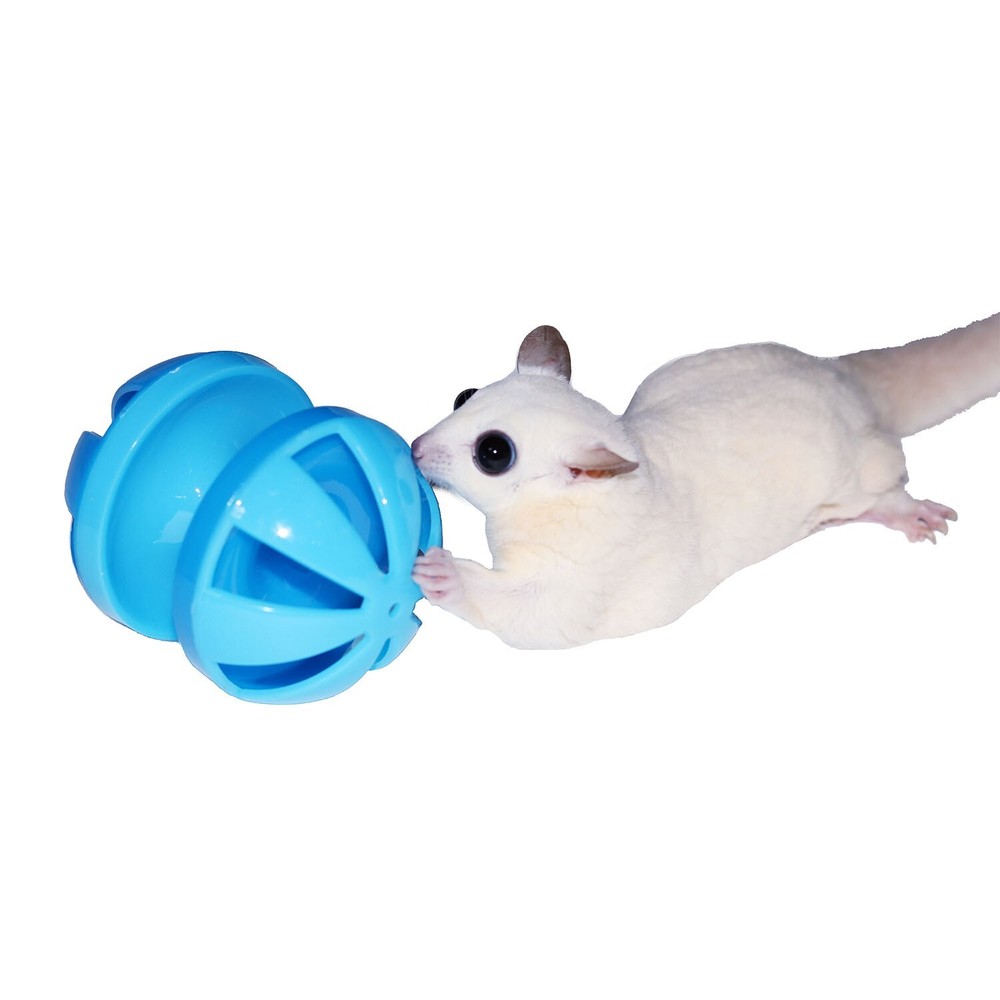 Rolling Toy Bundle - Cage Accessories - Chinchilla, Hamster, Hedgehog, Gerbil