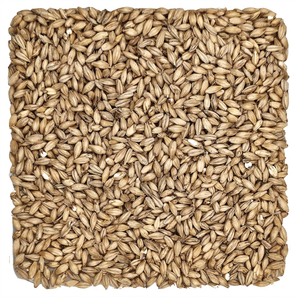 Home Brew Ohio 2-Row Grain 10lb