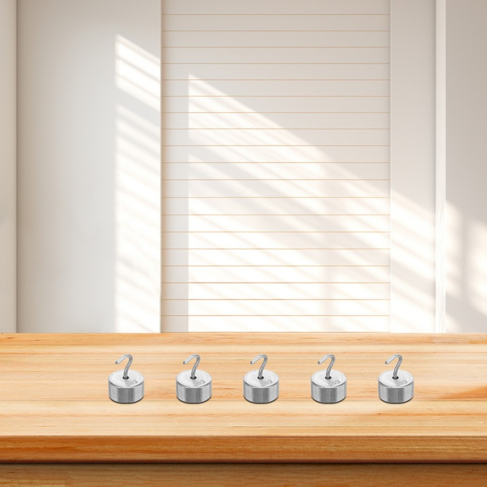 10 Pcs Small Calibration Weights Lab Chromium Laboratory Scale