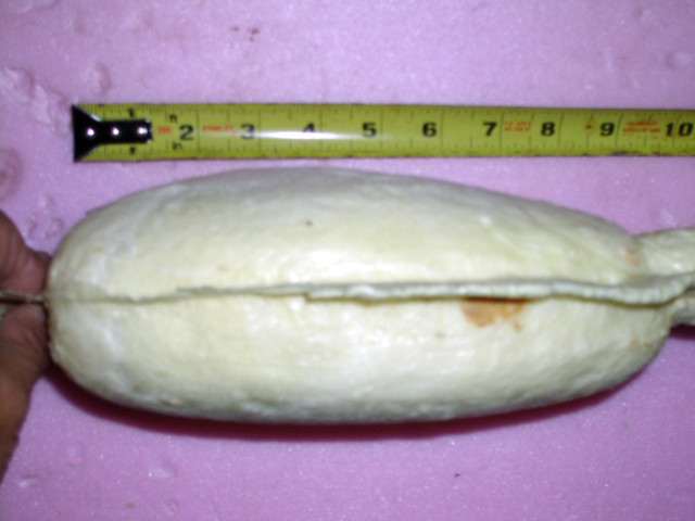 TWO MERGANSER DUCK BODY FOAM FORMS