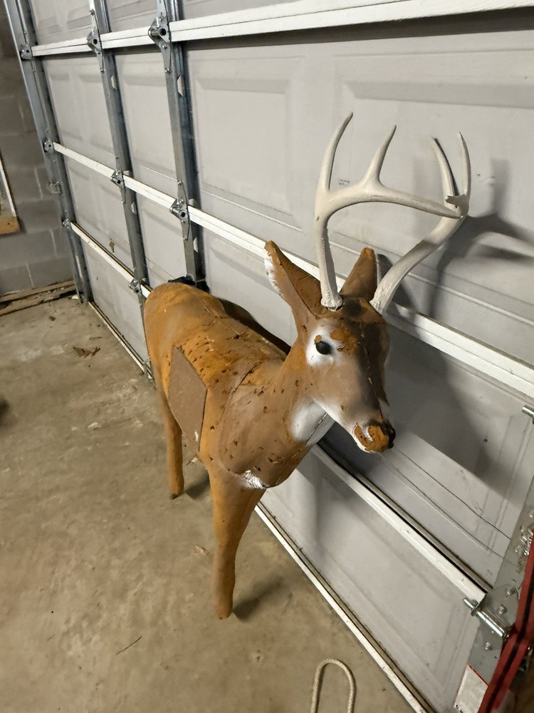 Bear Lights Out Compound Bow