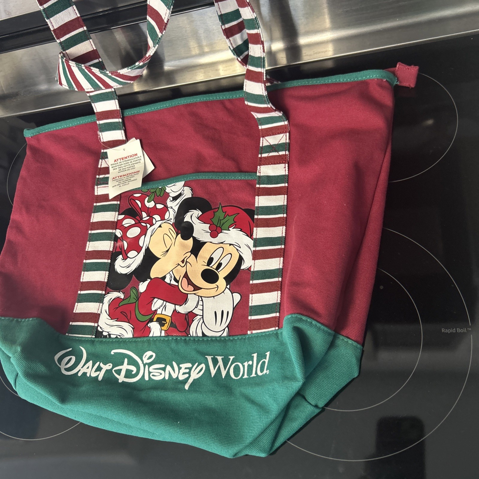 Walt Disney World Mickey & Minnie Mouse Christmas Canvas Tote Bag w/ Zipper NEW