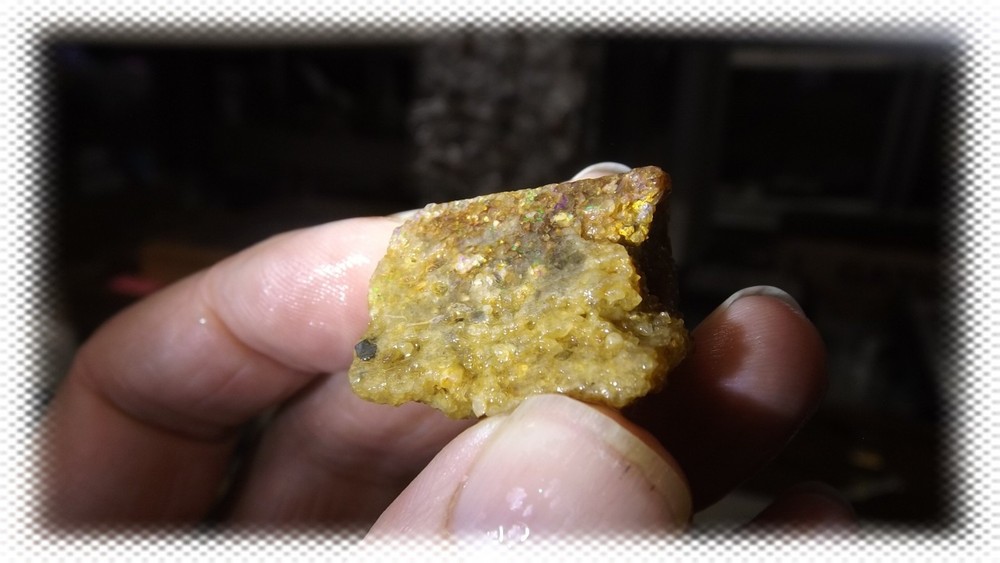 64cts Louisiana Opal Rough Specimen