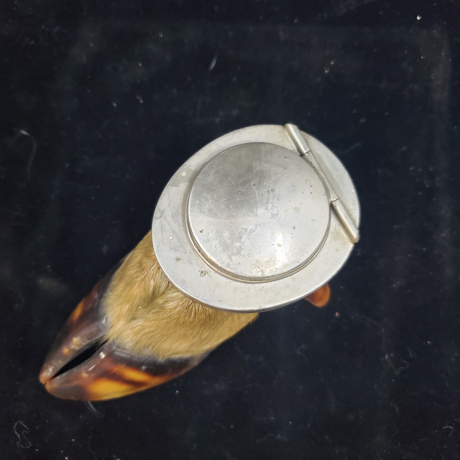 Vintage Adirondack Deer Split Hoof Taxidermy Inkwell Holder Rustic Camp Decor