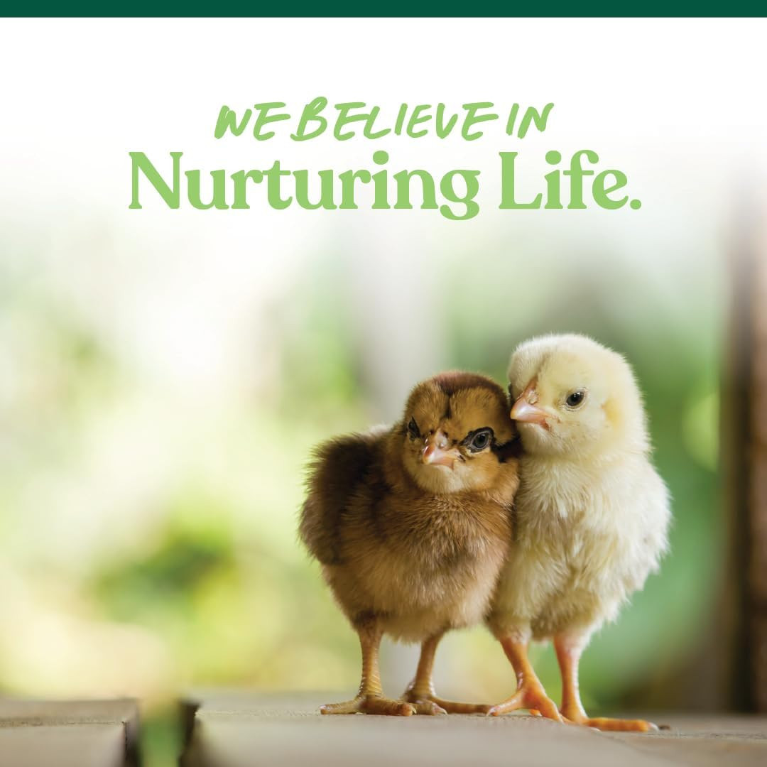 NEW Chick Starter Grower - Medicated Chick Feed Crumble for Young Chickens