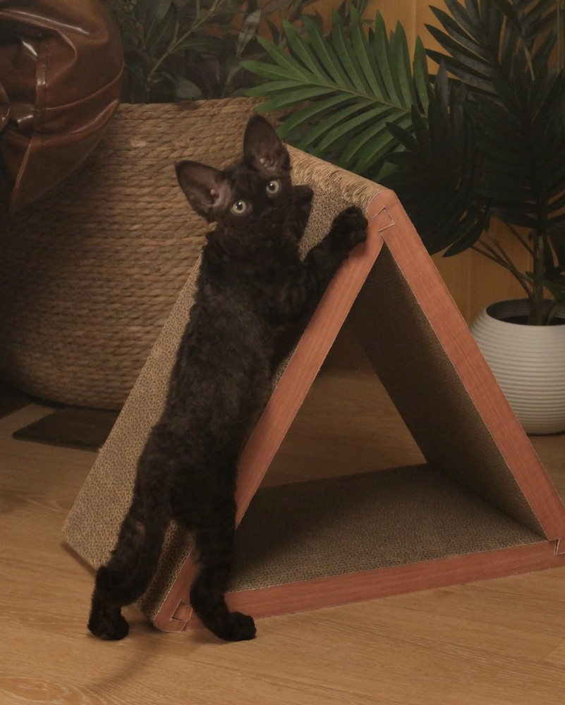 Cat Scratcher Cat Scratching Board - Foldable - Triangle 6 Usable Sides Scrat...