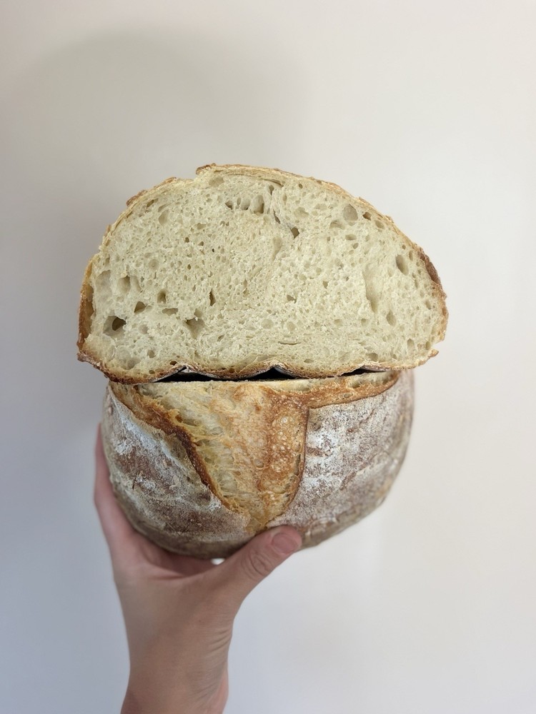 Dehydrated Sourdough Starter 15g Bag With Instructions