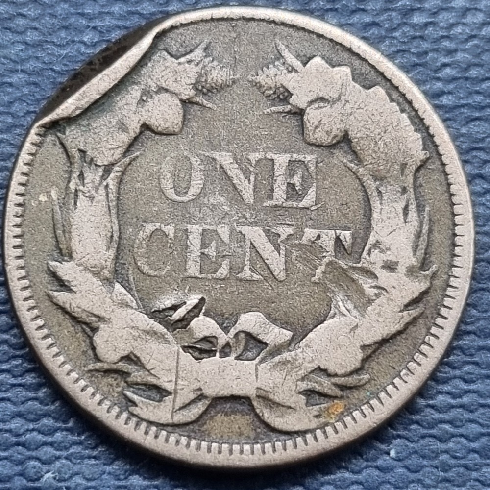1858 Flying Eagle Cent 1c Penny Circulated #92644