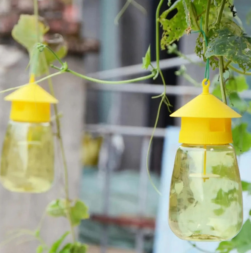 3pcs Fruit Fly & Insect Trap – Outdoor Plastic Hanging Drosophila Killer - NEW