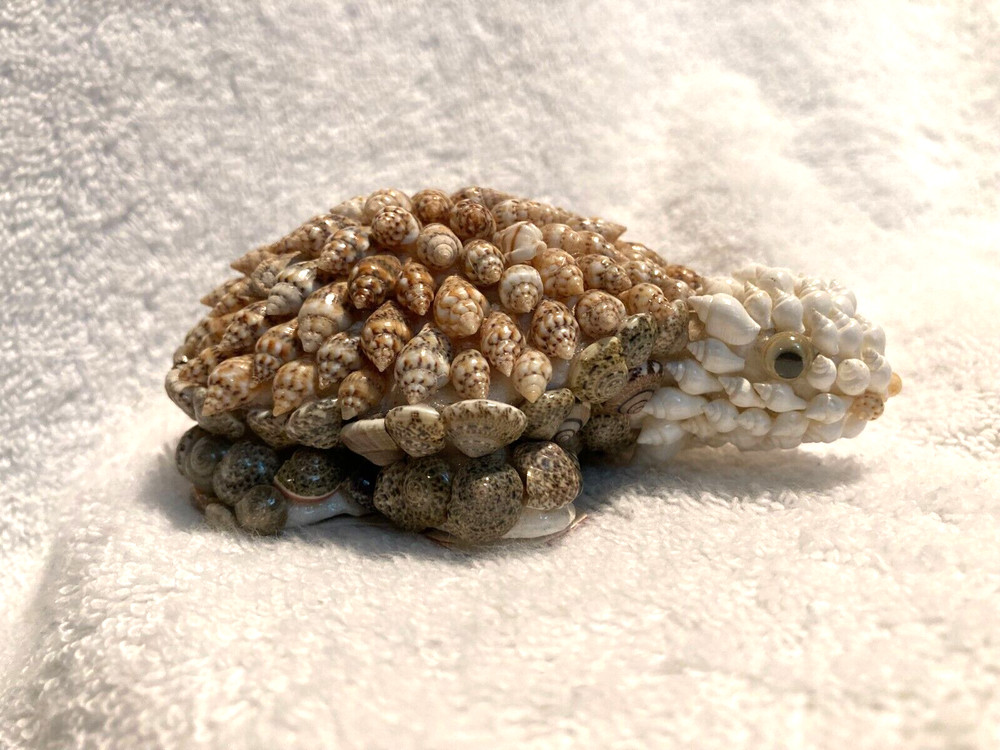 Shells Turtle Figurine  1 1/2" T x 4" x 2 3/4"