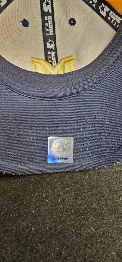 Vintage Michigan Wolverines Starter Hat