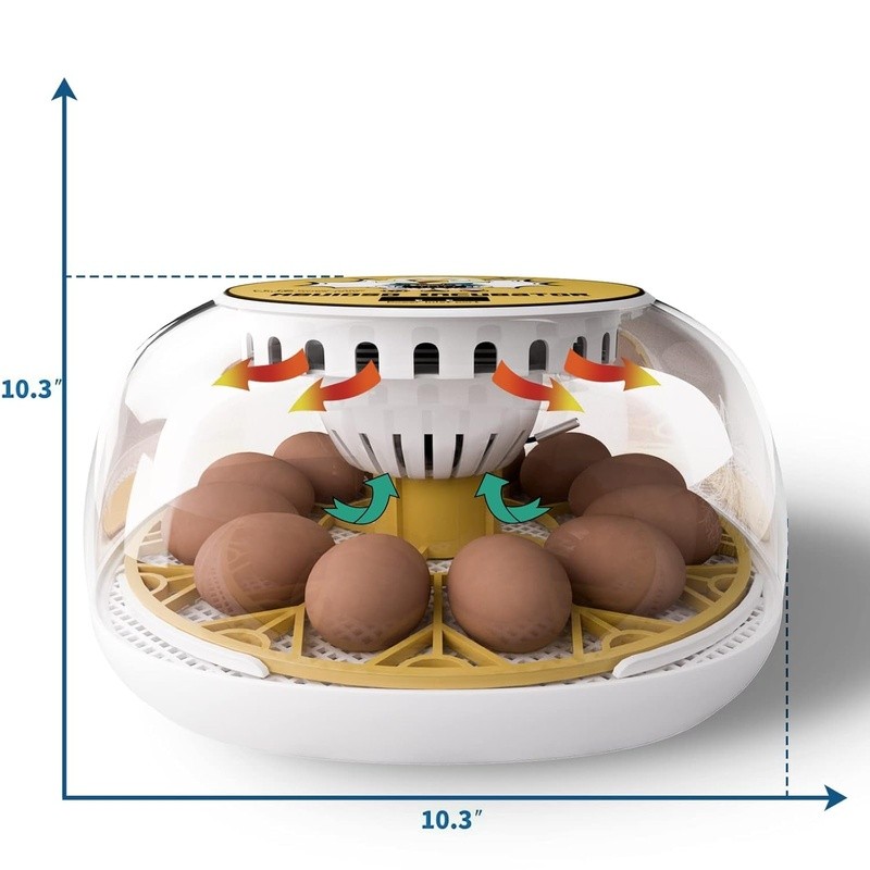 Egg Incubator Automatic Turning Transparent Top External Water Addition Hatching
