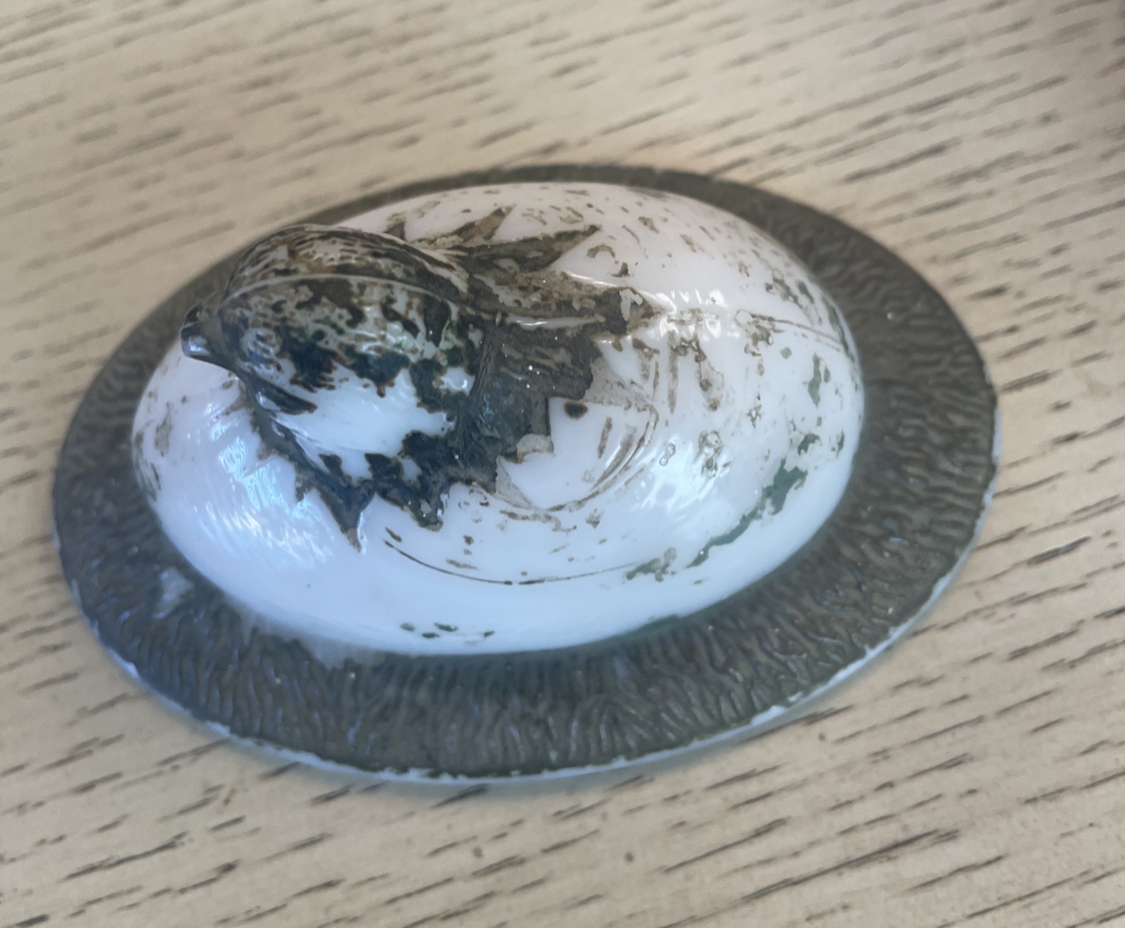 Antique RARE Westmoreland Chick in Egg On Sleigh Milk Glass 100+ Yrs Old!