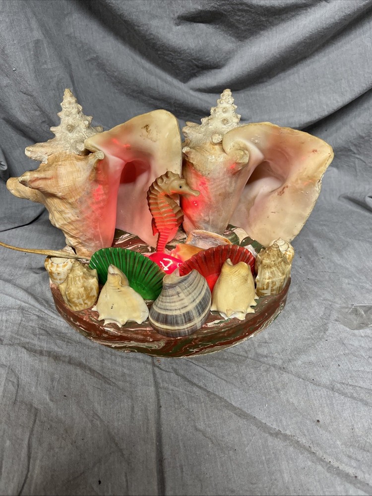 Handmade Sea Shell Display With Light