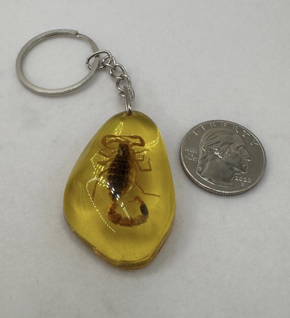 Scorpion Amber Keychain, Scorpion Keychain, Unique Keychain, Arizona Gift
