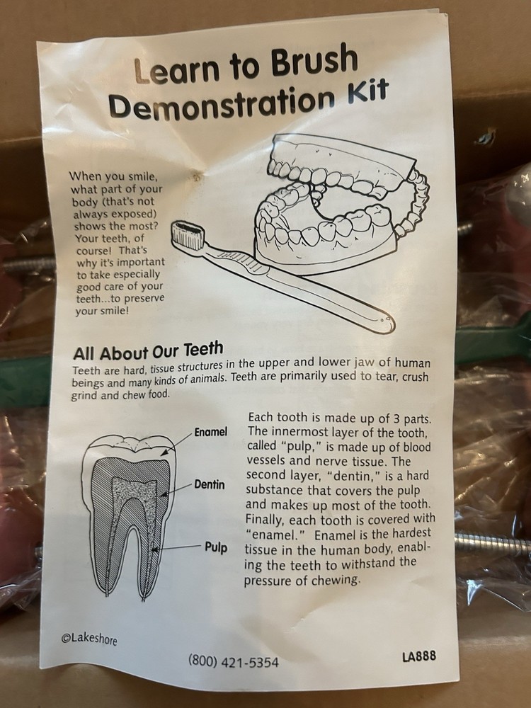 Oversized Dental Demonstration Model Includes Large Tooth Brush & Hinged Gums