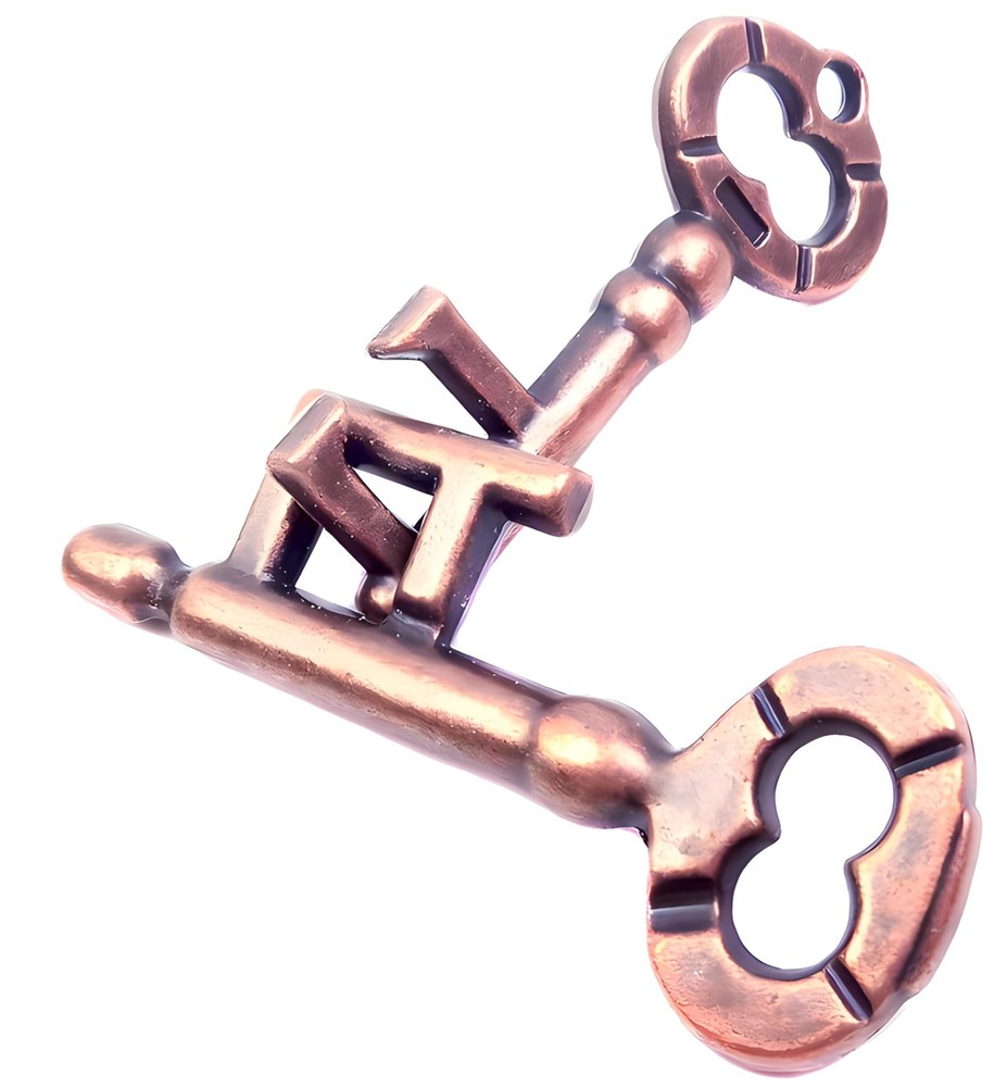 Traditional Metal Brain Teaser – Classic Puzzle Toy for Logic & Skill Develop...