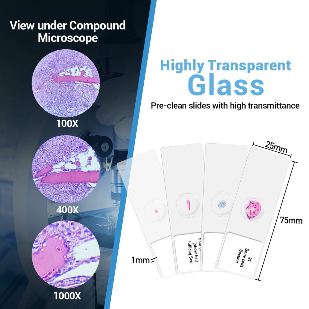 100Pcs Prepared Microscope Slides Set Professional Specimens for Kids Student...