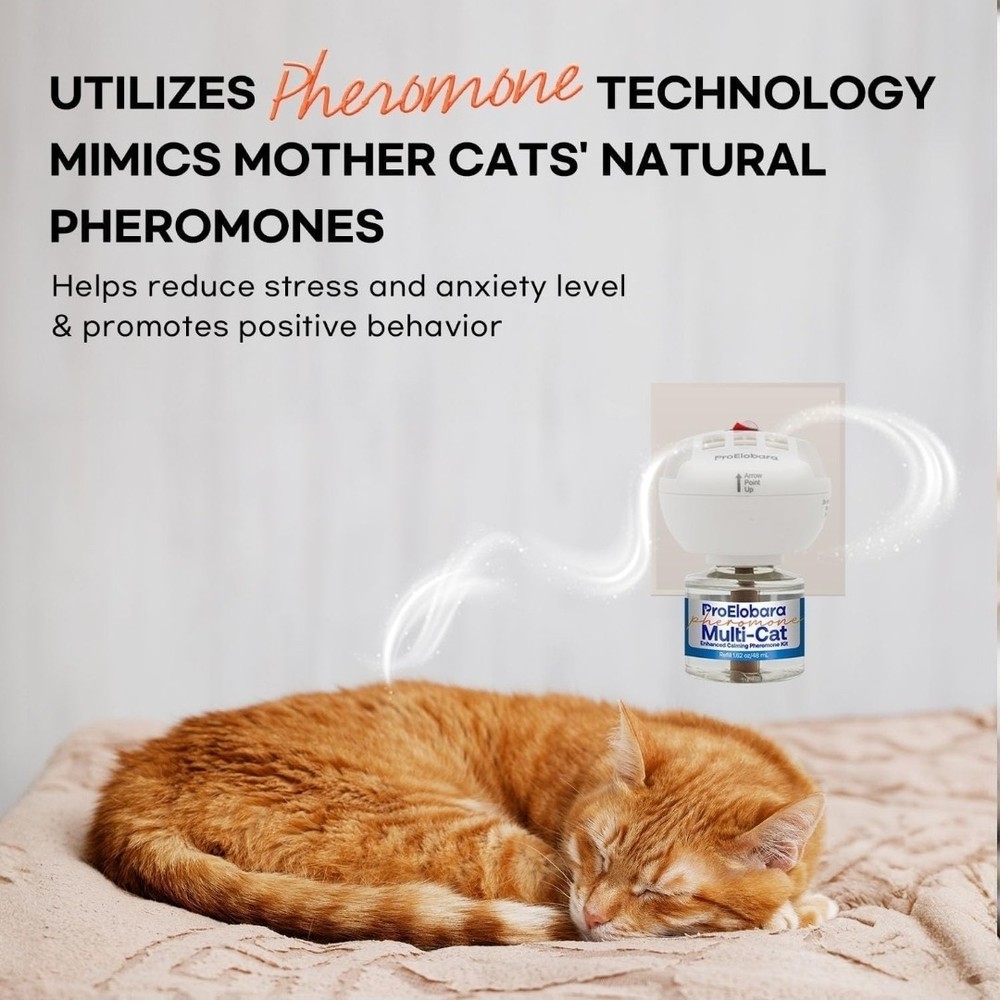 ProElobara Multi-Cat Pheromone Formula Diffuser Kit for Cat Calming...2 refills