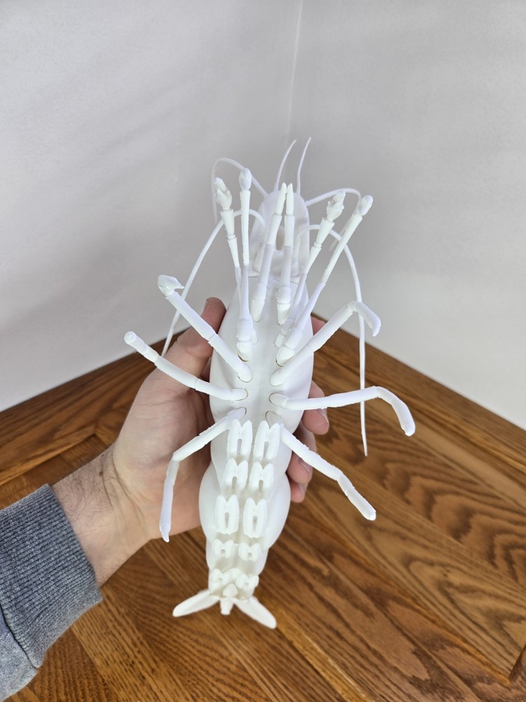 Solid white snowball Neocaridina Shrimp 3d Print READ DESCRIPTION