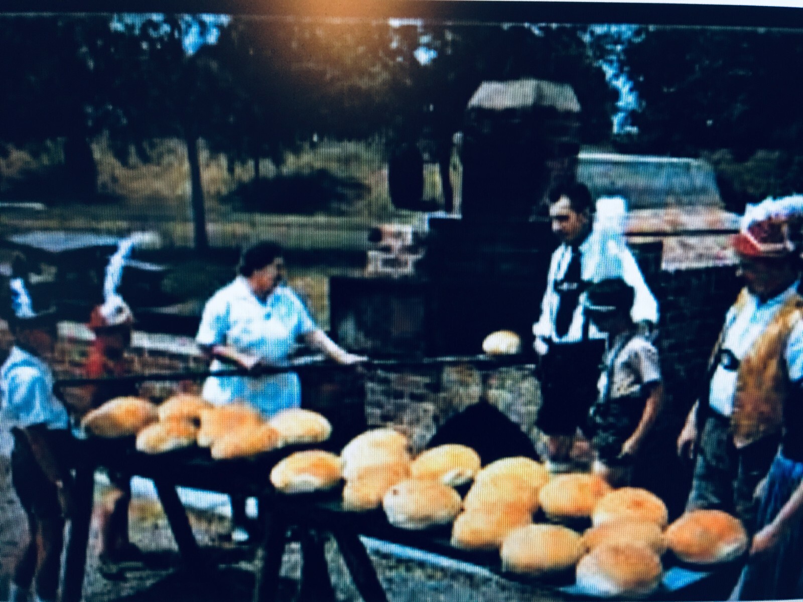 Bavarian "Black Death" Sourdough Starter YEAST 400 Year-Old History ACTIVE SOUR