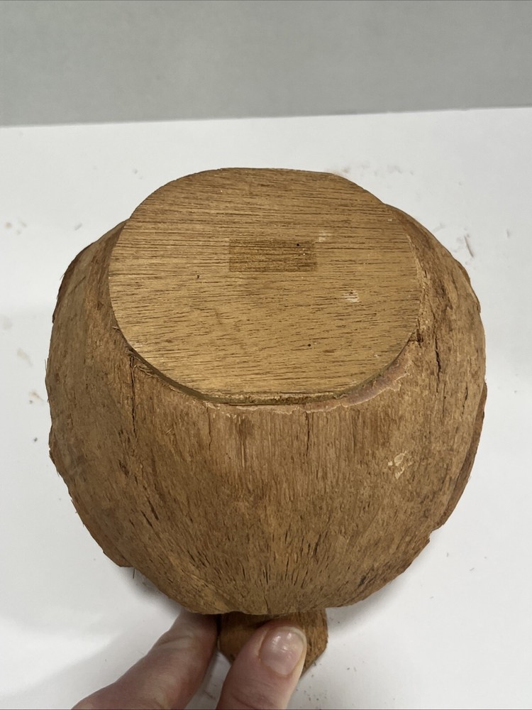 Hand Carved Coconut Shell Husk Sea Turtle