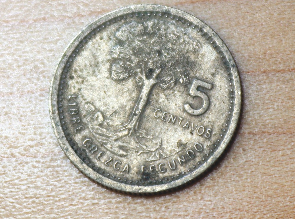 1980 Guatemala 5 Centavos Kapok Tree