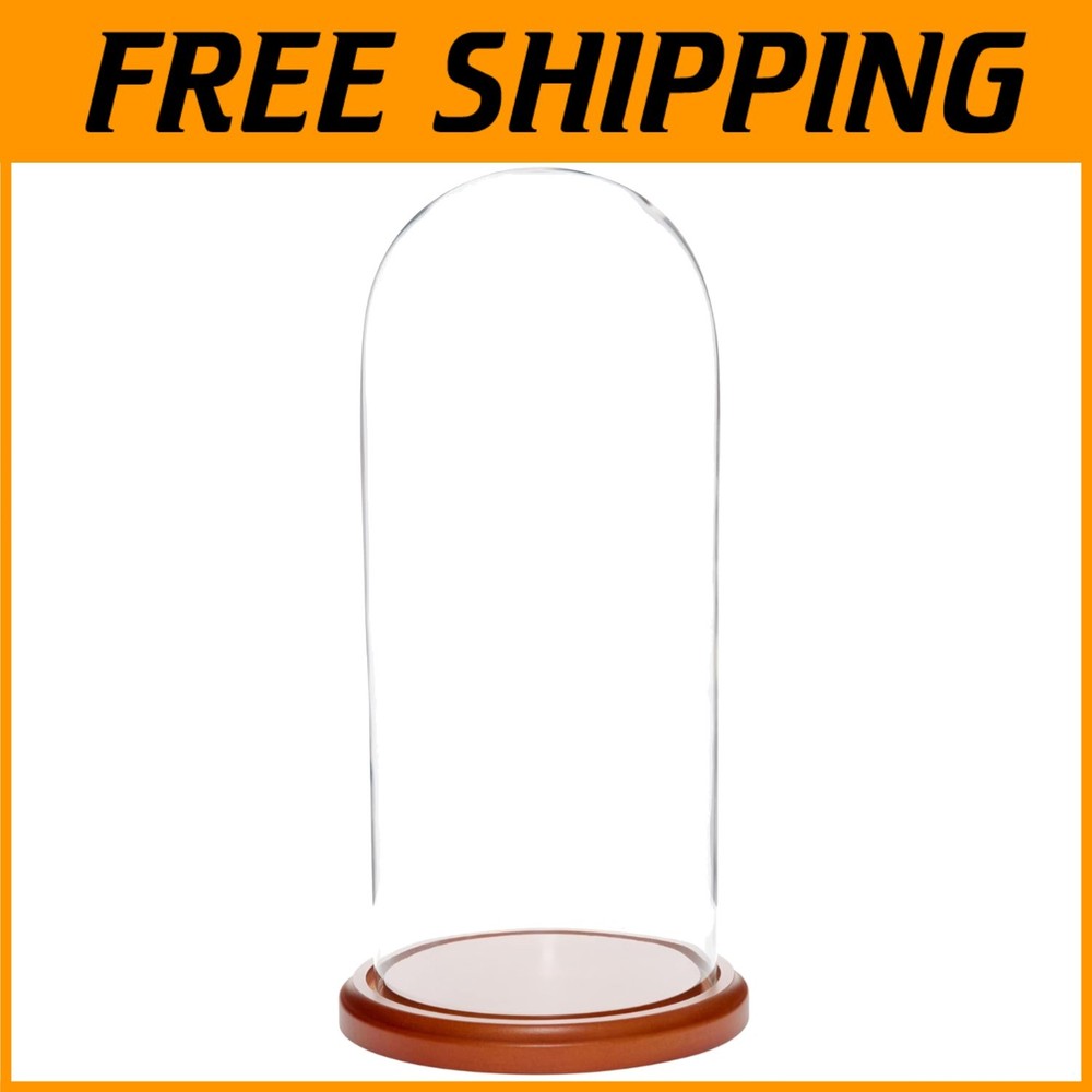 Glass Display Dome for Figurines - Walnut Base