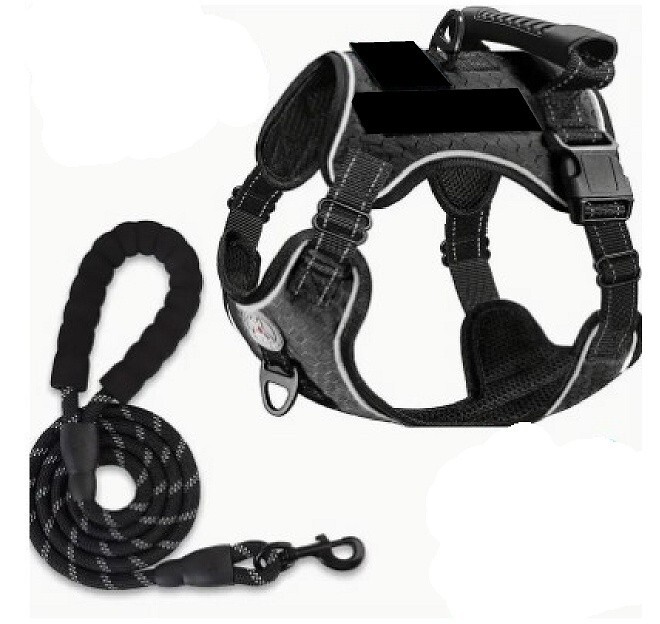 Dog Harness & Leash Sets