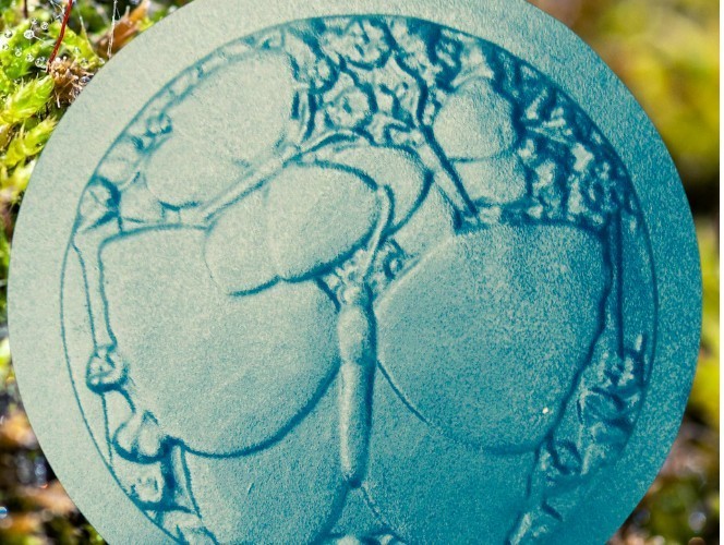 Butterfly steppingstone mold concrete plaster cement garden mould 12" x 1" thick