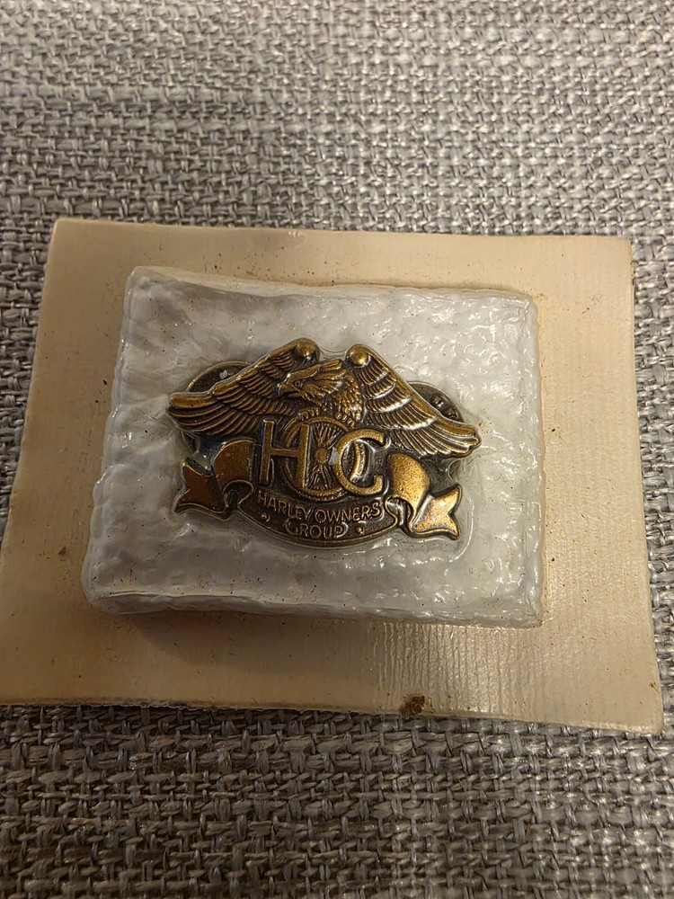 Harley Owner's Group Pin