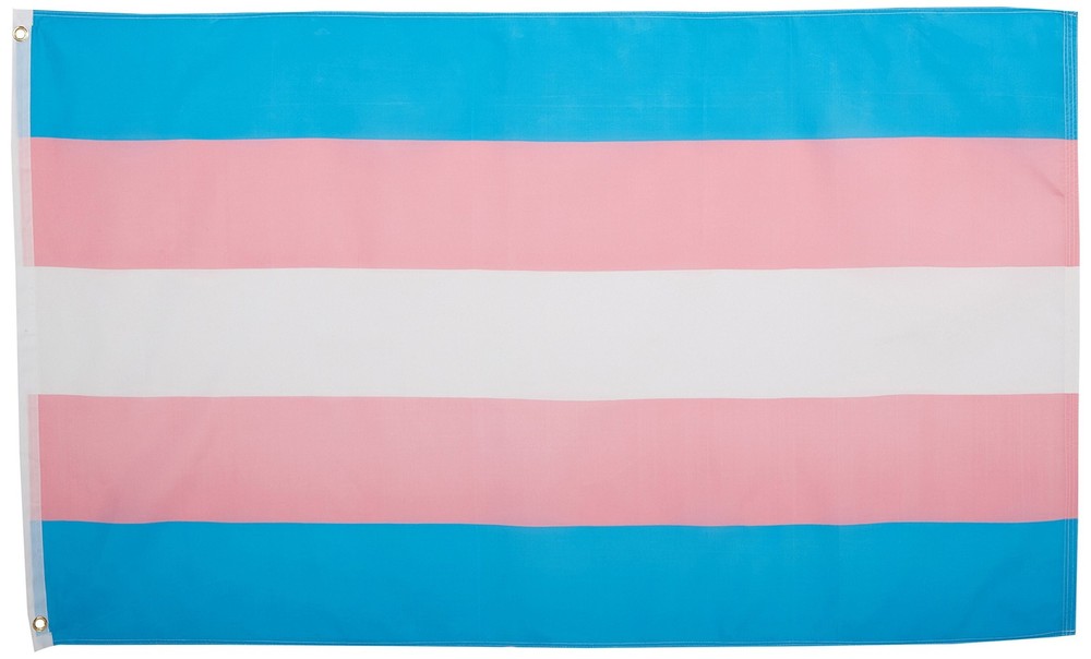 FlagsImp Transgender Pride Flag - Premium Double-stitched 100% Polyester w/Br...