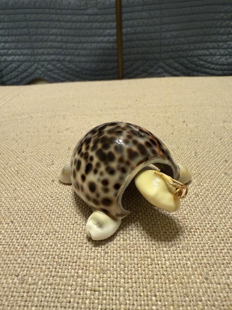 Hand Made Bobble Head Cowrie Shell Turtle With Glasses