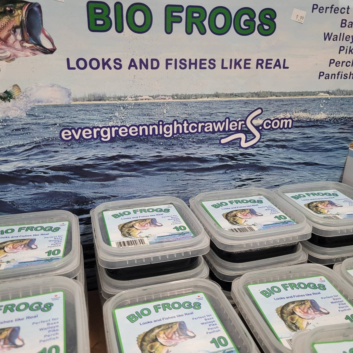 Bestbait Bio Frogs 3 Pack Looks and Fishes like real frogs