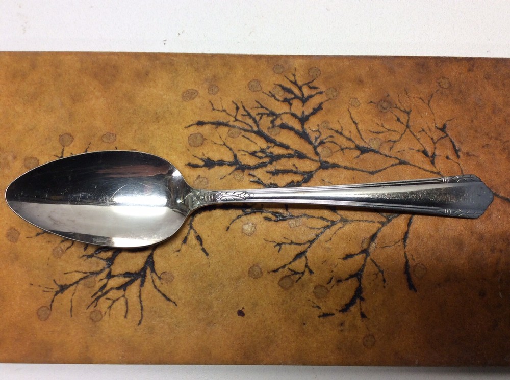 Vintage Wm. A. Rogers A1Plus Spoon Oneida LTD O2