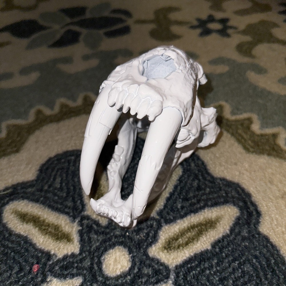 Sabertooth Skull White