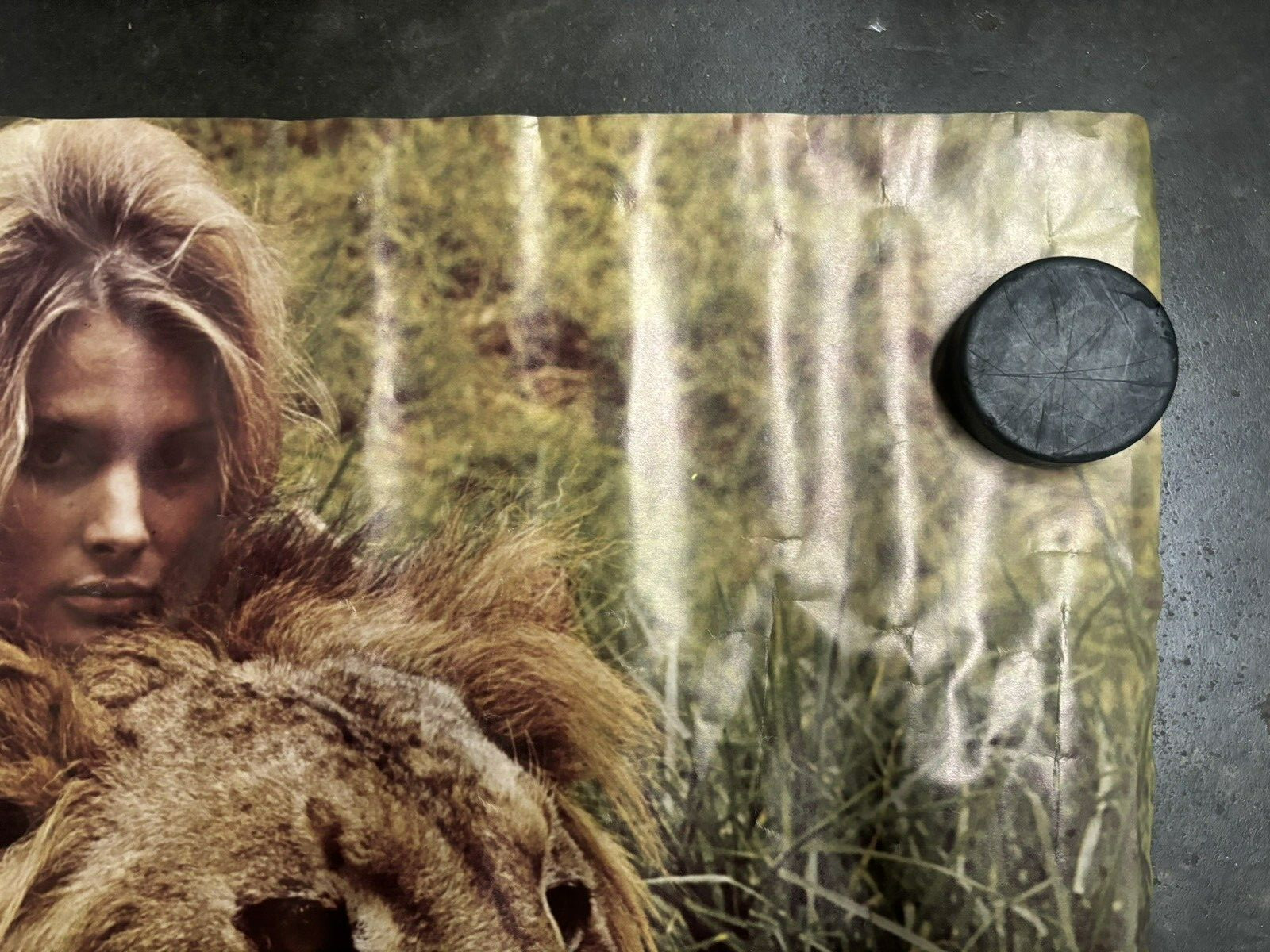 Girl with lion 1970's vintage Poster hot girl C2538