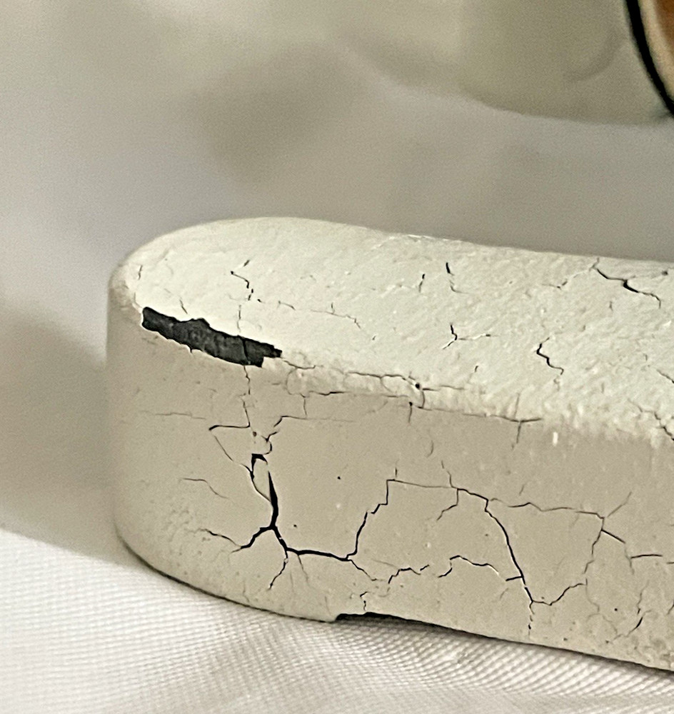 Radical Instruments Microscope RM-1B